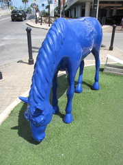 Blue Horse, Oranjestad