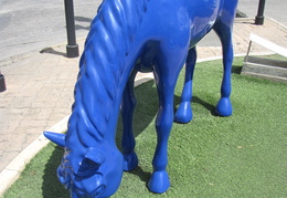 Blue Horse, Oranjestad